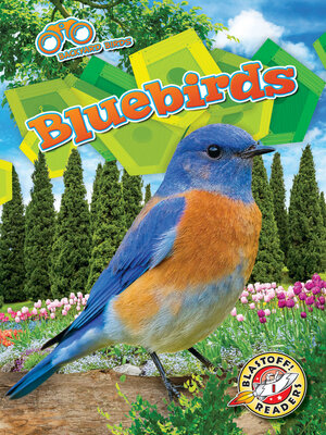 cover image of Bluebirds